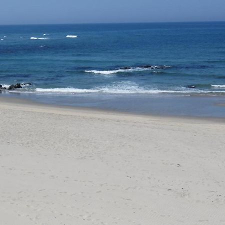 Afife & Insua Beach Apartment Viana do Castelo Zewnętrze zdjęcie